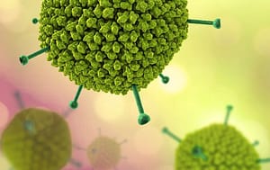 La versatilidad del adenovirus humano en el paciente inmunocompetente
