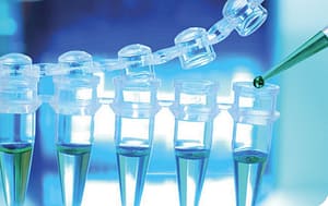 El binomio glucosa-lípidos. El gran olvidado