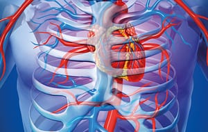 Hiperuricemia como indicador de riesgo cardiovascular en adultos mayores