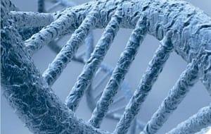 Estudio molecular de las formas familiares del síndrome de Noonan