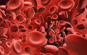 G6PDH (Glucosa-6-Fosfato Deshidrogenasa)