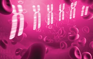 Caracterización citogenética y molecular de una paciente ecuatoriana con cromosoma 4 en anillo: análisis clínico comparativo con 37 casos internacionales