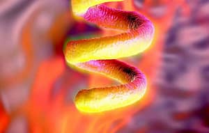 Análisis de técnicas treponémicas y no treponémicas en el tamizaje serológico de sífilis