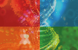 Cuatro virus respiratorios en una sola reacción de Real-Time PCR: la solución de Vircell