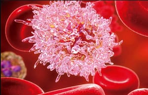 Detección por citometría de flujo de la enfermedad mínima residual en las leucemias agudas