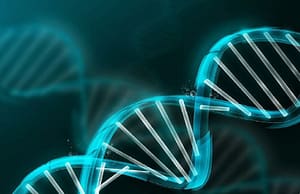 Factores de riesgo en las enfermedades genéticas - Artículo en Revisión
