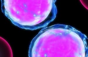 HLA DRB1*, DQB1*, DPA1* y DPB1* y su asociación con la patogénesis de las leucemias en población venezolana