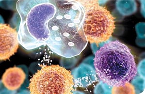 Métodos Diagnósticos en Tuberculosis; lo convencional y los avances tecnológicos en el siglo XXI