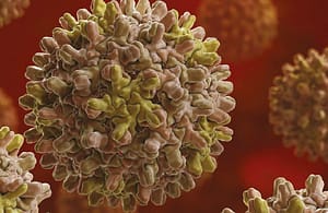 Inmunogenicidad de una vacuna recombinante anti hepatitis B en personal de salud*