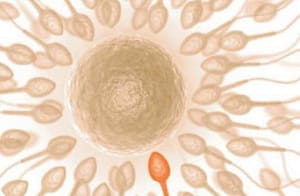 Análisis Espermático Computarizado: ISASLab