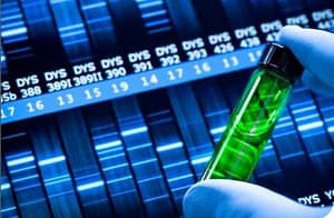 Argentinos identifican un nuevo virus del papiloma humano