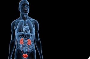 Implicancia de la Proteinuria en el Diagnóstico y Seguimiento de la Enfermedad Renal Crónica