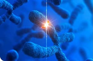 Citogenética humana: del microscopio al microchip