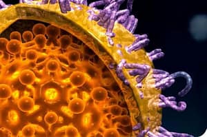 Factores de riesgo y seroprevalencia de marcadores virales de hepatitis B (HVB) y hepatitis C (HVC) en grupos de alto riesgo en Chiapas