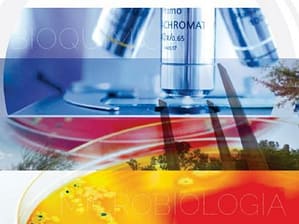 III Congreso Bioquímico del litoral - XVI Jornadas Argentinas de Microbiología