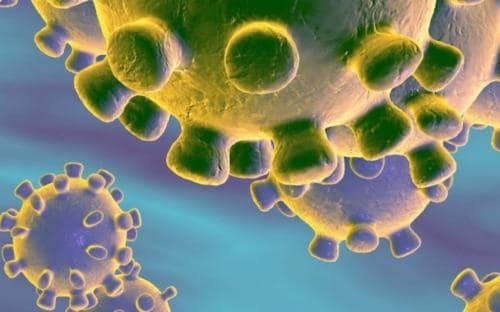 Una nueva zoonosis viral de preocupación global: COVID-19, enfermedad por coronavirus 2019