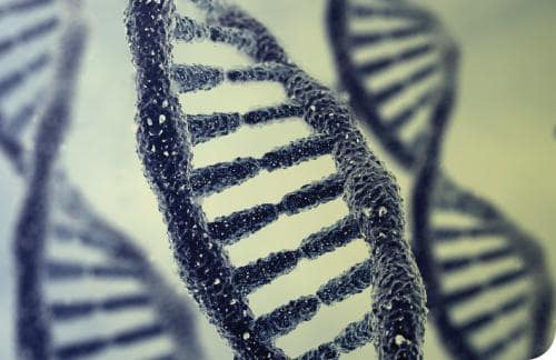 Resultados de seis años de estudios citogenéticos en líquido amniótico