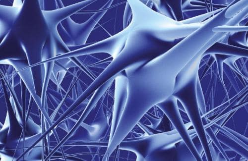 Anticuerpos antigangliósidos: Utilidad diagnóstica en neuropatías inflamatorias