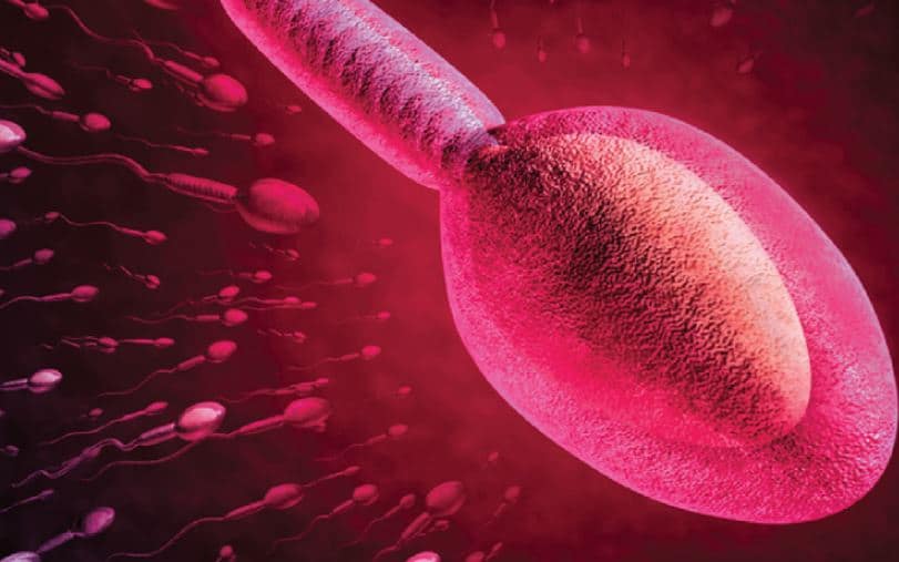 Espermocultivo: crecimiento bacteriano del eyaculado y su relación con los parámetros seminales