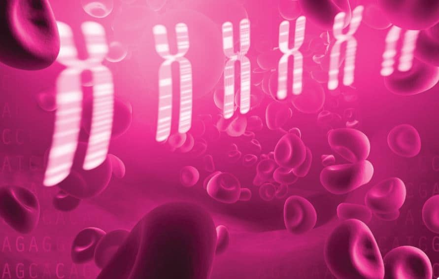 Caracterización citogenética y molecular de una paciente ecuatoriana con cromosoma 4 en anillo: análisis clínico comparativo con 37 casos internacionales