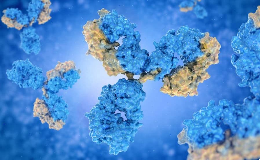 Inmunodeficiencia común variable en adultos