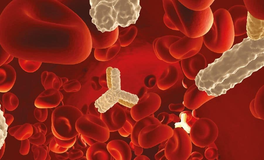 Inmunodeficiencias primarias por déficit de anticuerpos en adultos