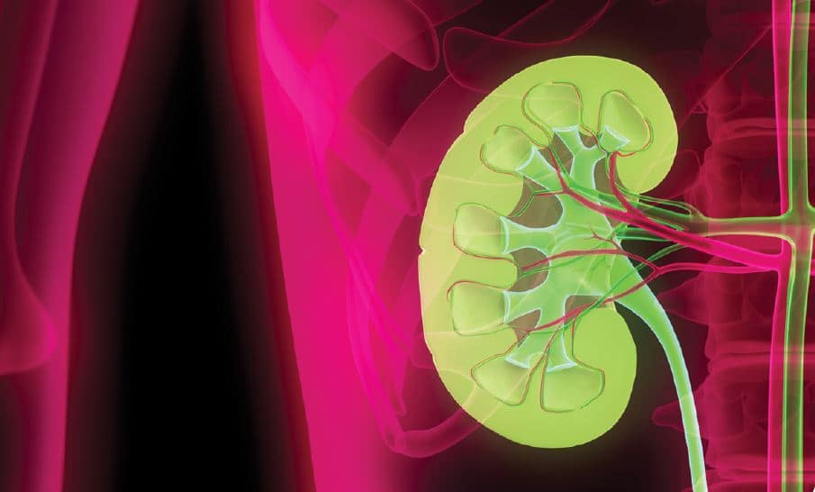 Microalbuminuria: factor predictor de la función renal en mujeres gestantes
