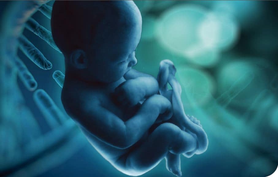 Variantes de la heterocromatina y la eucromatina en el diagnóstico prenatal citogenético