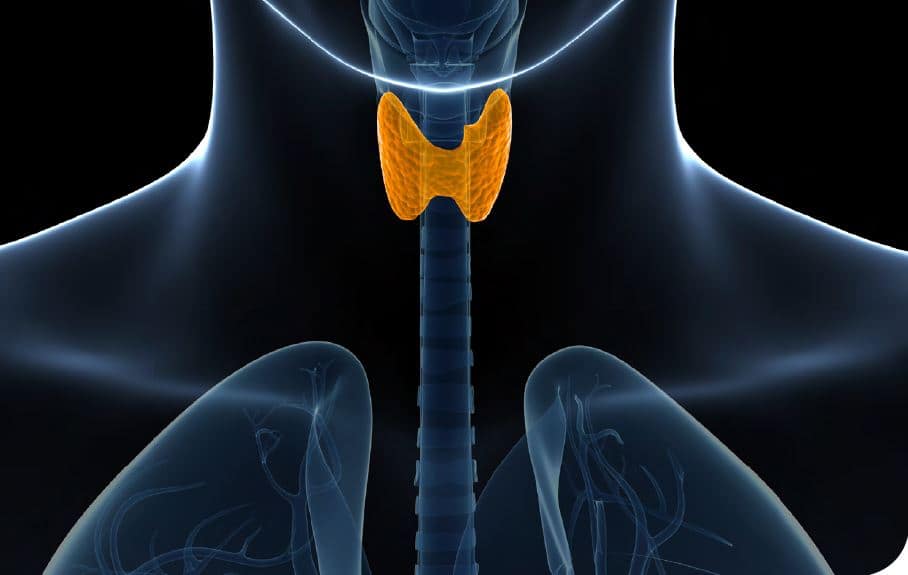 Hipotiroidismo Subclínico