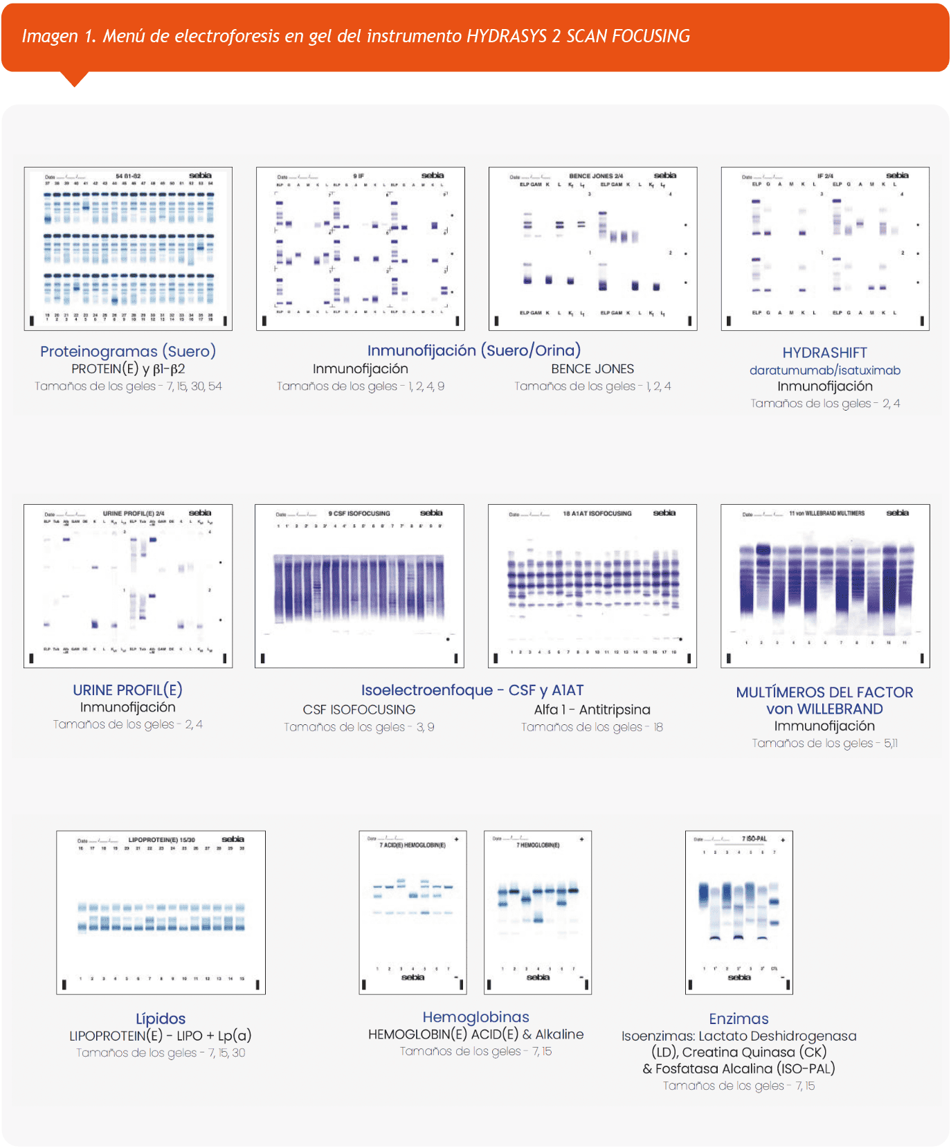 Promoción mes del CONGRESO CUBRA